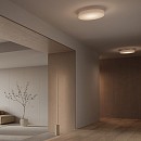 Côte 37cm Ceiling Lamp - Frosted Smoky Grey Glass