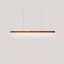 I-Line Short Suspension Lamp