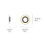 Lens Circular Wall Lamp - Matt Ivory