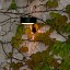 Plaff-on! A Outdoor Wall Lamp