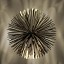 Sun - Light Of Love Suspension Lamp