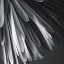 Sun - Light Of Love Suspension Lamp