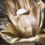 LaFleur Wall Lamp