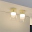 Diver C3 Ceiling Lamp