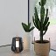 Luisa T1 Table Lamp With Matt White