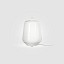 Luisa T1 Table Lamp With Matt White