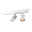 Carl 2 Ceiling Lamp