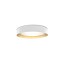 Ginevra 53 Ceiling Lamp