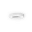 Silver Ring Ø50cm Wall Lamp