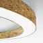 Silver Ring Ø50cm Wall Lamp