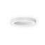 Silver Ring Ø80cm Wall Lamp