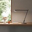 Opuntia Table Lamp
