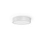 Planet Ring Ø40cm Ceiling Lamp