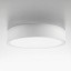 Planet Ring Ø70cm Ceiling Lamp