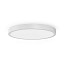 Planet Ring Ø100cm Ceiling Lamp