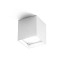 Two Ceiling Lamp