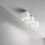 Two Ceiling Lamp