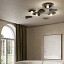 Flow Ceiling Lamp