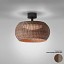 Perris PF-47 Outdoor Ceiling Lamp