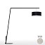 Angelica Floor Lamp - Black Structure