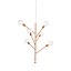 Baobab 6 Arms Deluxe Pendant Lamp