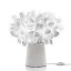 Clizia Mama Non Mama Table Lamp