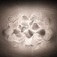 Clizia Mama Non Mama Applique Wall Lamp