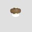Faro Small Ceiling Lamp With Painted Brass Frame