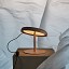 Mood Table Lamp With Table Support