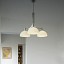 AS43C Suspension Lamp