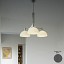 AS43C Suspension Lamp