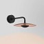 Ginger 20A Outdoor Wall Lamp