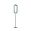 Lens Oval Floor Lamp - Matte Nickel