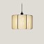 Kactos Suspension Lamp With Matte Black Canopy