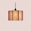 Kactos Suspension Lamp With Matte Black Canopy