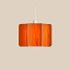 Kactos Suspension Lamp With Matte White Canopy