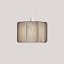 Kactos Suspension Lamp With Matte White Canopy