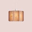 Kactos Suspension Lamp With Matte White Canopy
