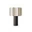 Kactos Table Lamp With Matte Black Base