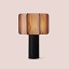 Kactos Table Lamp With Matte Black Base
