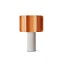 Kactos Table Lamp With Matte White Base