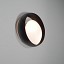Ring Wall Lamp