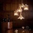 Decanter Tulip Suspension Lamp