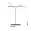 Ginger Medium Table Lamp