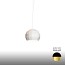 Scotch Club 26 Pendant