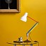 Type 75 Desk Lamp - Paul Smith - Edition Three