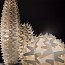 Cactus XL Floor Lamp