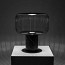 Keshi T50 Table Lamp