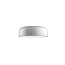 Smithfield Pro Ceiling Lamp