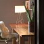 Ray Table Lamp